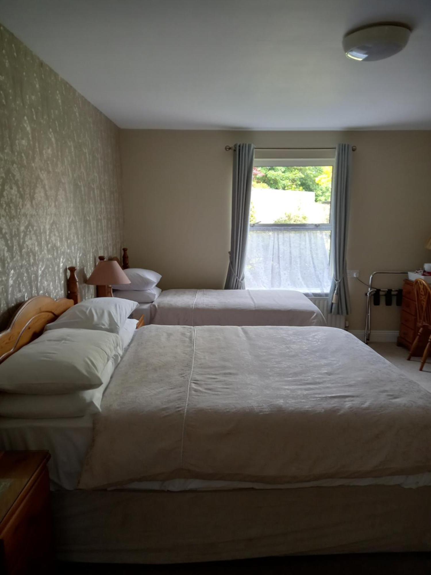 Bed and Breakfast Carraig Rua Кілкенні Екстер'єр фото